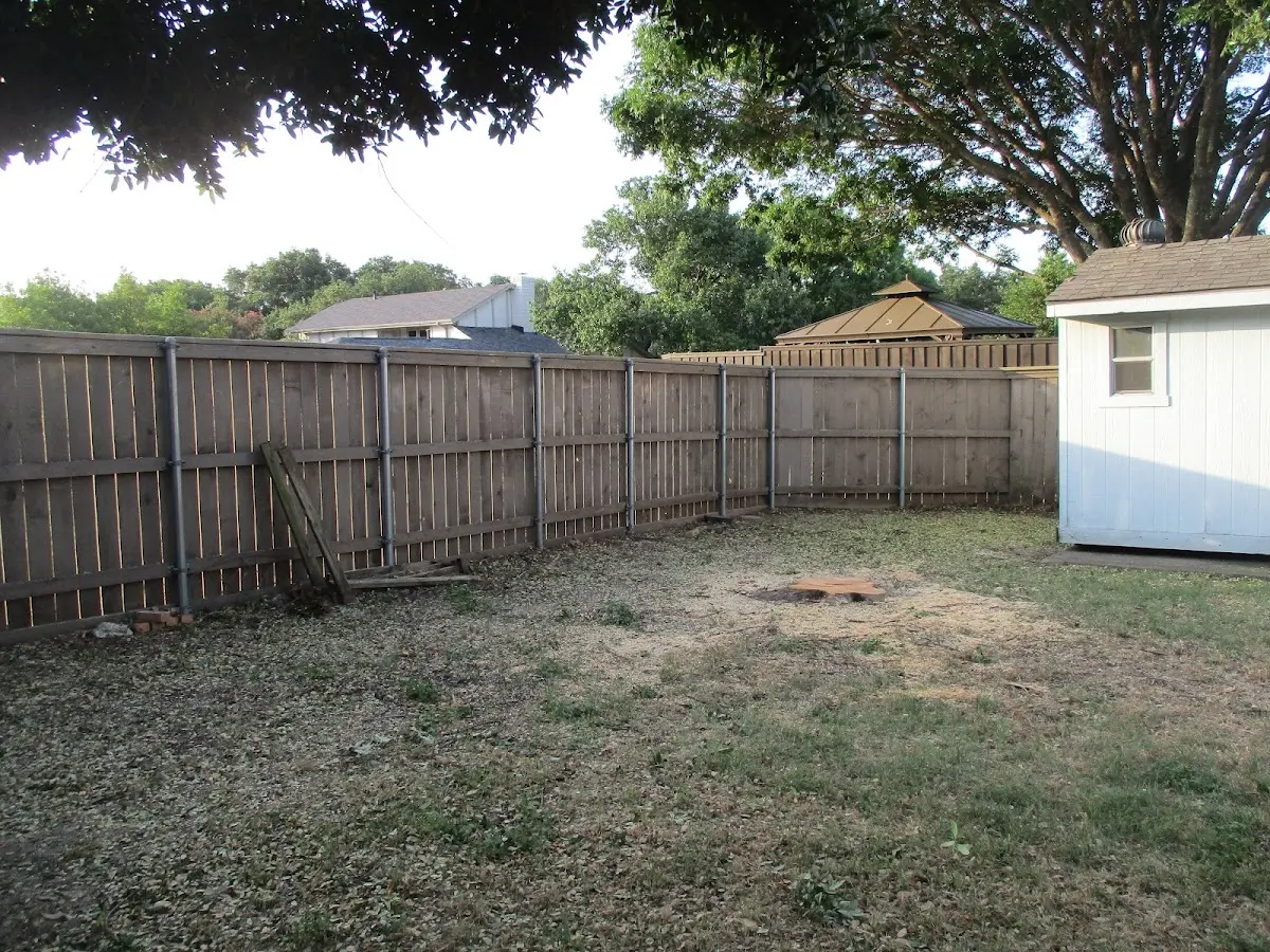 Cleared yard after professional tree removal in Shelbyville